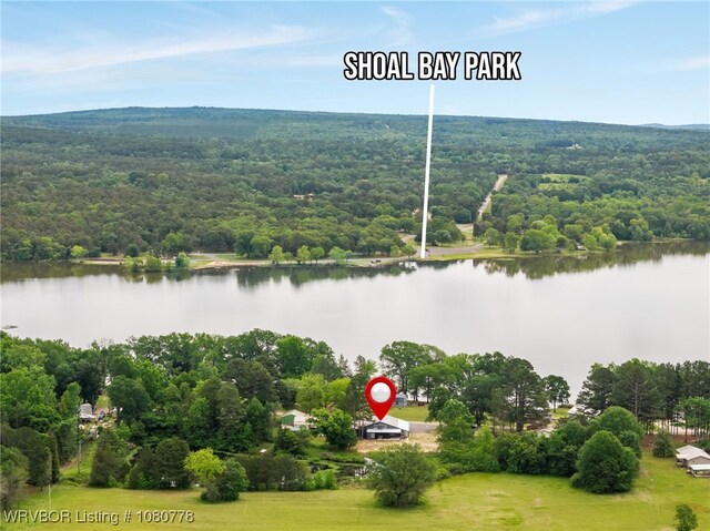 465 Boyd Dr, New Blaine, AR 72851 - drone / aerial view of a forest and a large body of water