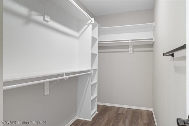 walk in closet with dark wood-type flooring