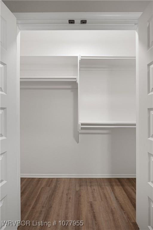 spacious closet with dark wood-type flooring