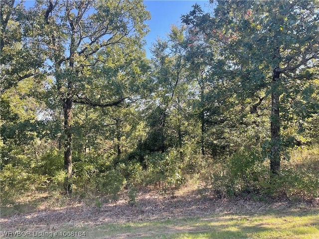 Listing photo 2 for TBD Beverly Hills Dr, Van Buren AR 72956