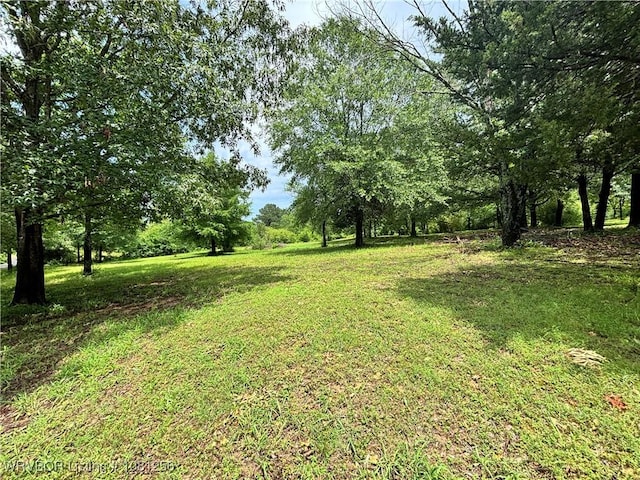112463 S 4670th Rd, Gans, OK 74936 - view of green lawn