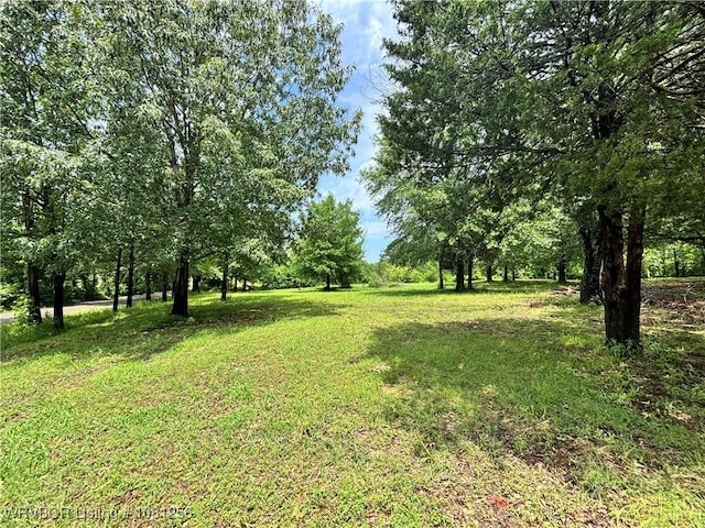 112463 S 4670th Rd, Gans, OK 74936 - view of green lawn