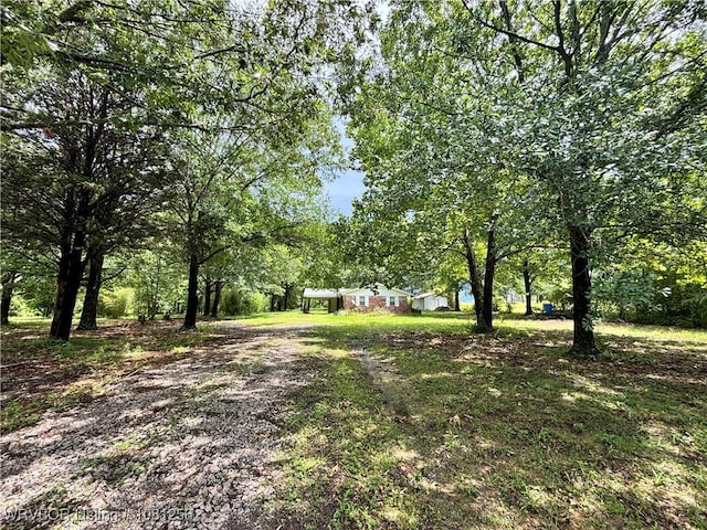 112463 S 4670th Rd, Gans, OK 74936 - view of yard featuring driveway