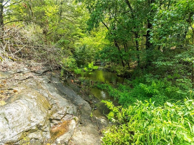 view of local wilderness