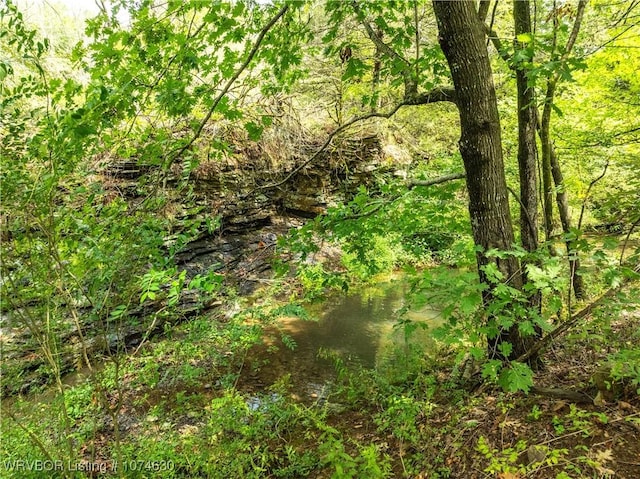 view of landscape featuring a water view