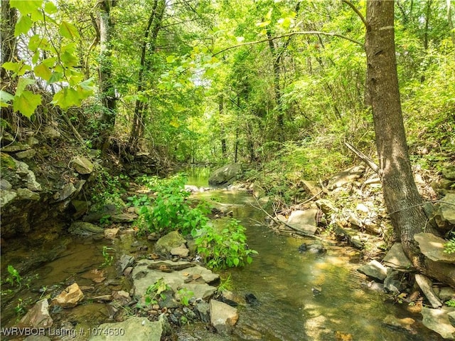 view of local wilderness