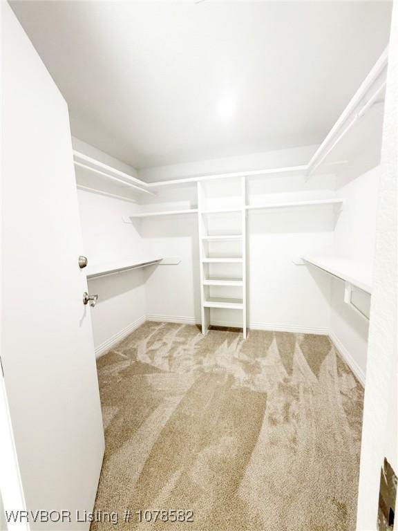 walk in closet with light carpet