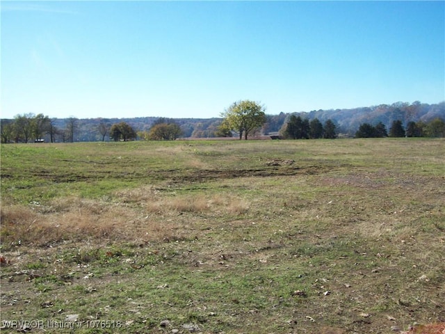 Listing photo 3 for TBD Biswell Rd, Van Buren AR 72956