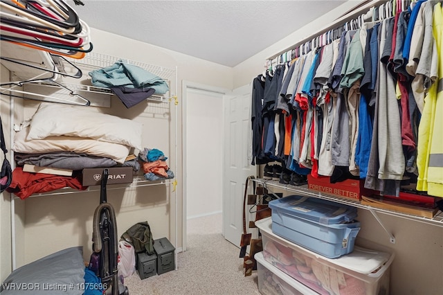 spacious closet with carpet flooring