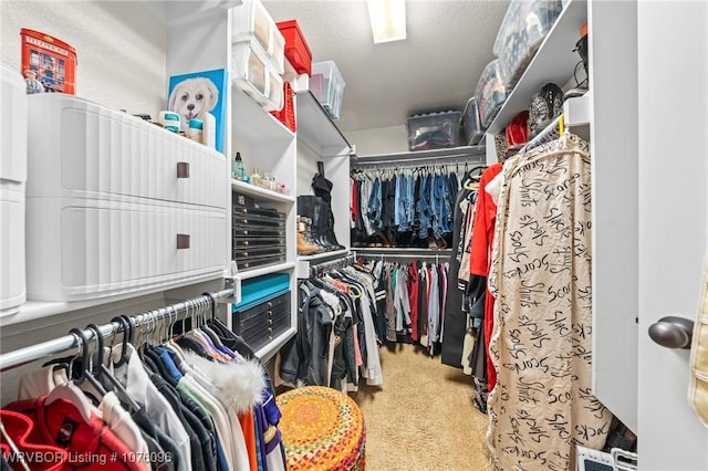 view of walk in closet