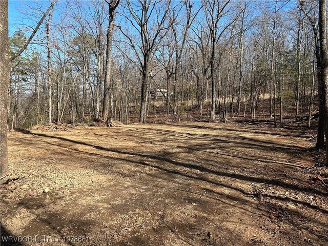 Listing photo 3 for TBD Rock Creek Rd, Mountainburg AR 72946