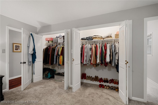 view of closet