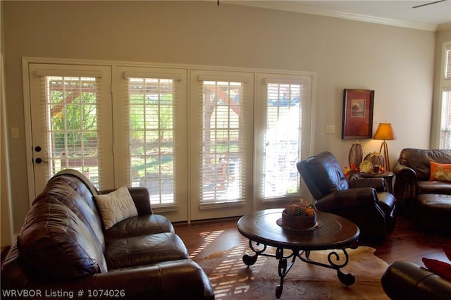 living room featuring hardwood / wood-style floors, a wealth of natural light, and ornamental molding