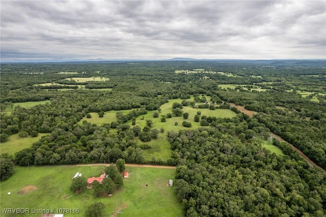 bird's eye view