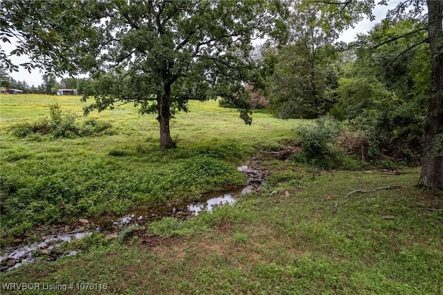 view of nature