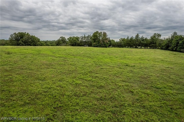 view of yard with a rural view