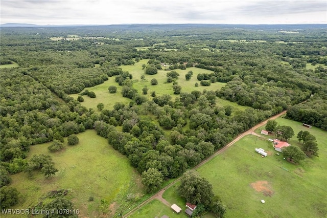 bird's eye view