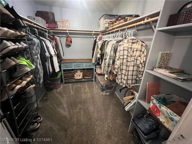 spacious closet featuring dark colored carpet