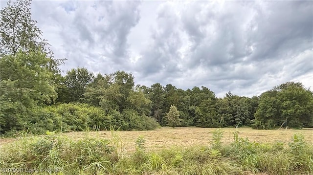 TBD S 45th Hwy, Hartford, AR 72938 - photo 3