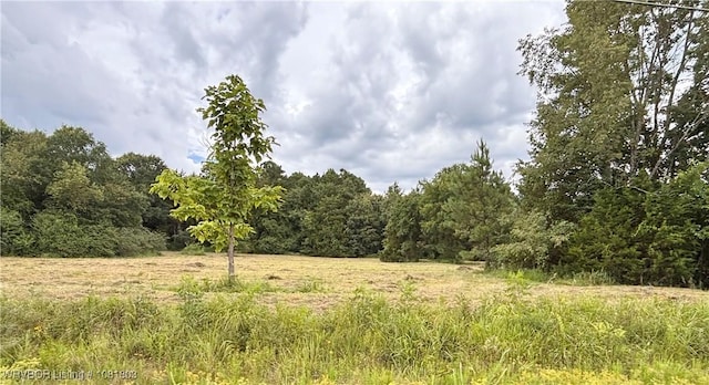TBD S 45th Hwy, Hartford, AR 72938 - photo 2