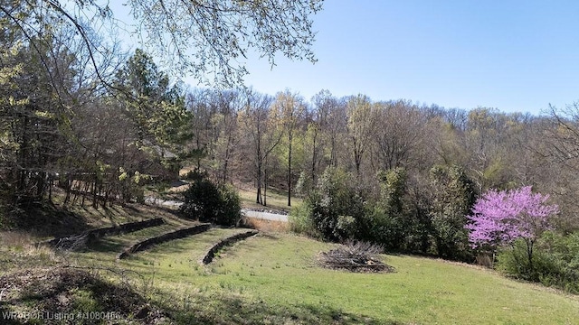 2815 Edgewater Dr, Greenwood, AR 72936 - photo 4
