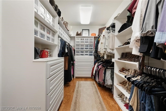 walk in closet with wood finished floors