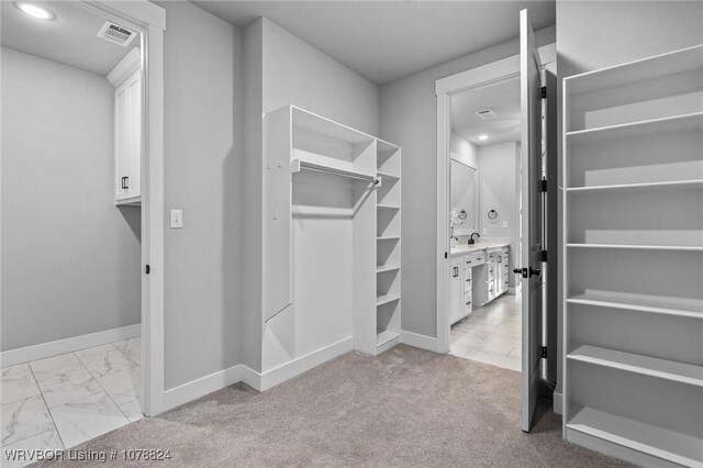 spacious closet with sink