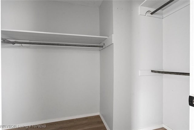 spacious closet featuring wood finished floors