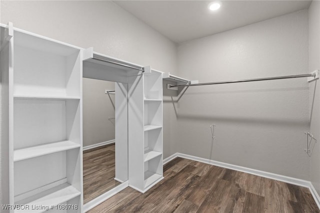 walk in closet featuring wood finished floors