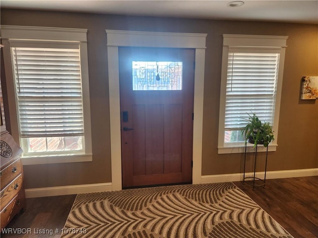 foyer with dark hardwood / wood-style flooring and a wealth of natural light