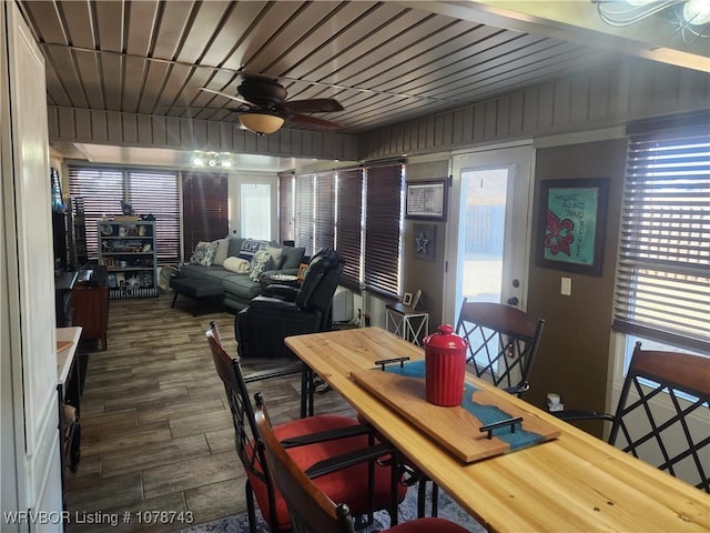 dining room featuring ceiling fan, dark hardwood / wood-style floors, and a wealth of natural light