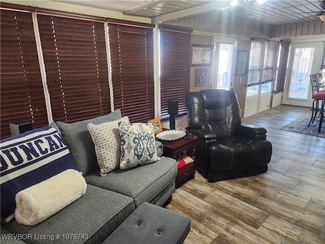 living room with hardwood / wood-style floors