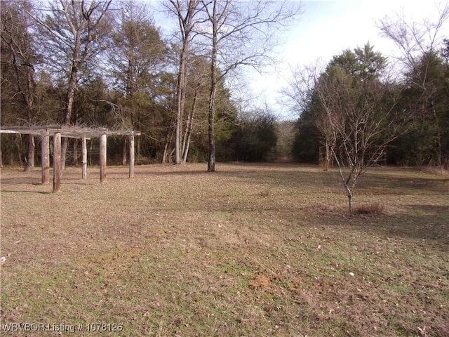 view of yard featuring a pergola