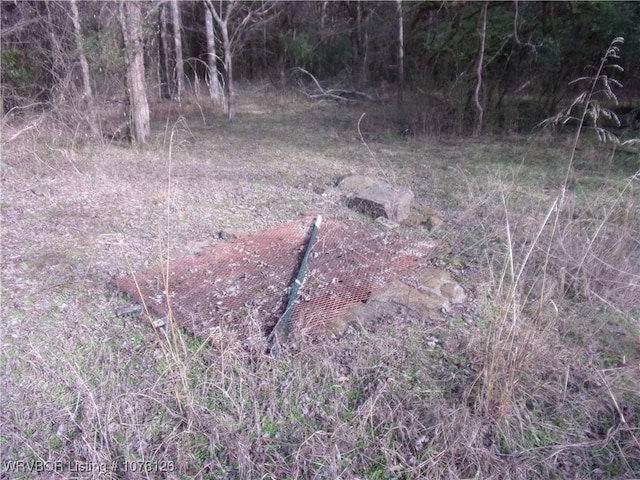 view of local wilderness