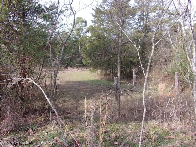 view of landscape