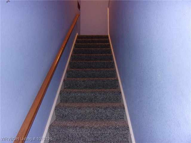 staircase featuring carpet