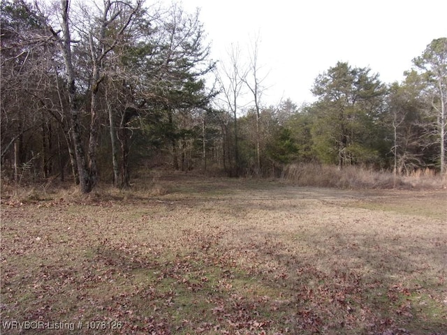 view of local wilderness