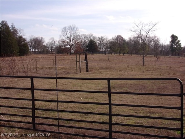 view of yard with a rural view