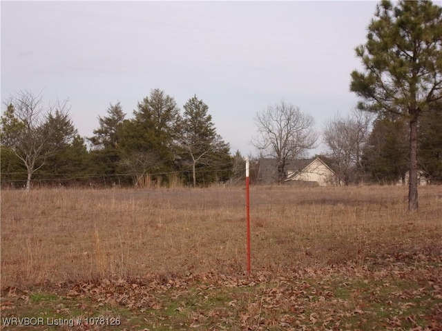 view of local wilderness