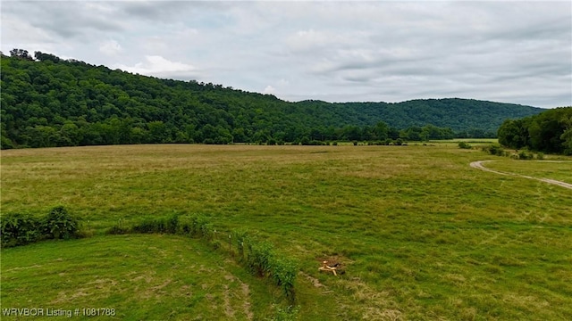 11739 282nd Hwy, Mountainburg, AR 72946 - view of mountain background with rural landscape and a forest