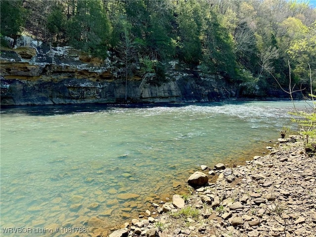 11739 282nd Hwy, Mountainburg, AR 72946 - water view with a heavily wooded area