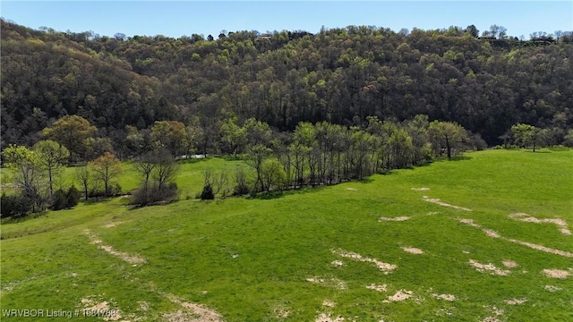 11739 282nd Hwy, Mountainburg, AR 72946 - view of grassy yard with a view of trees
