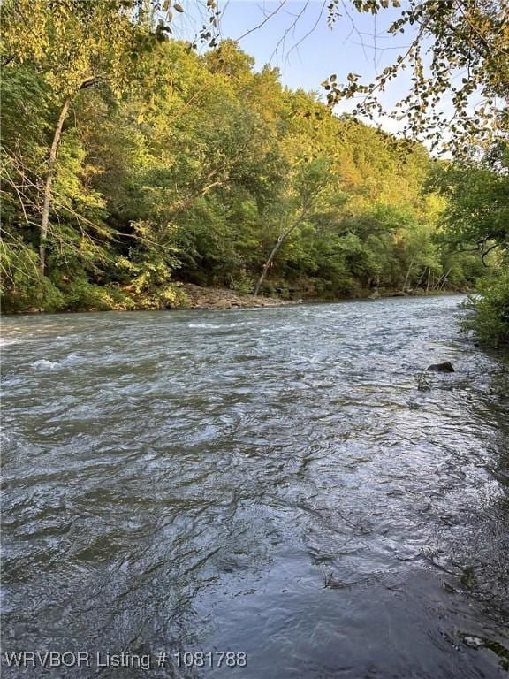 11739 282nd Hwy, Mountainburg, AR 72946 - water view featuring a forest