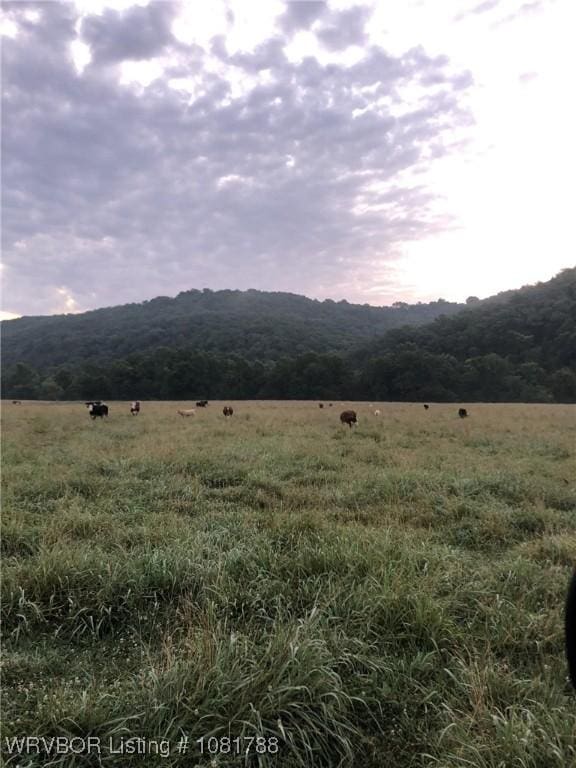 11739 282nd Hwy, Mountainburg, AR 72946 - mountain view with rural landscape