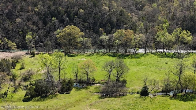 11739 282nd Hwy, Mountainburg, AR 72946 - view of property's community with a view of trees