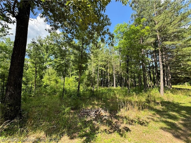 Listing photo 3 for TBD Nella Road, Mena AR 71953