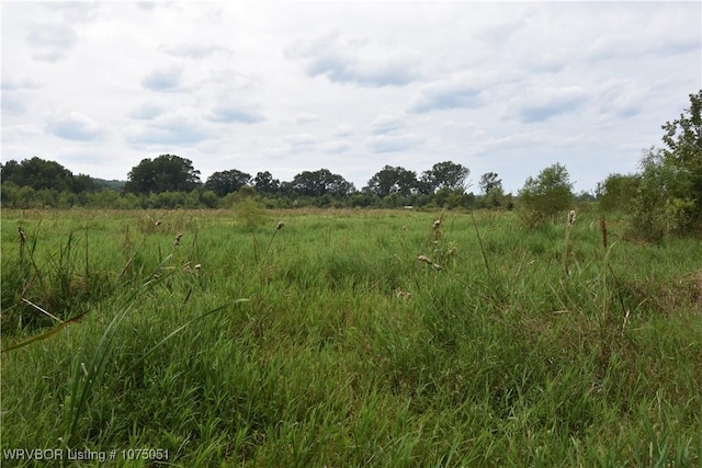 Listing photo 3 for TBD E Magazine St, Booneville AR 72927