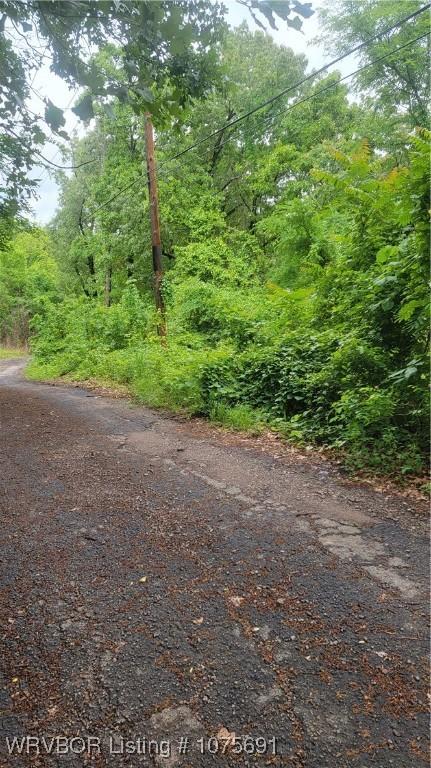 TBD Arkansas St, Van Buren, AR 72956 - photo 5
