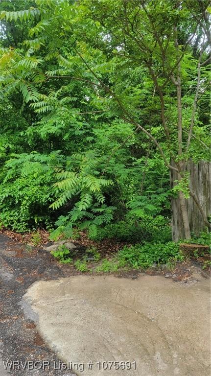 TBD Arkansas St, Van Buren, AR 72956 - photo 3