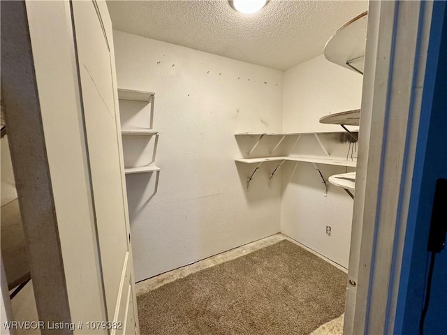 spacious closet with carpet floors